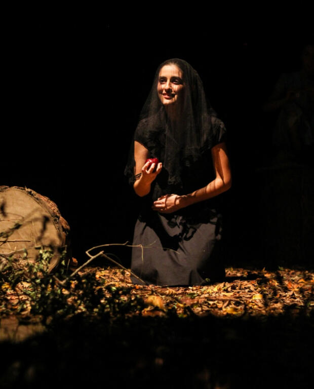 Idade da Ameixa (2018) dir. Antônio Rogério Toscano